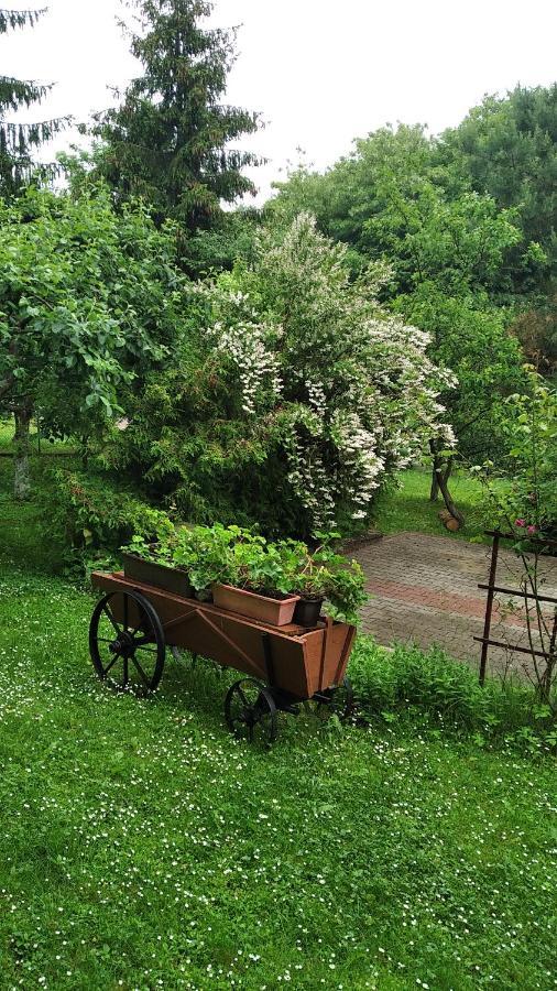 Apartament W Domu Na Wsi Tomaszów Lubelski 외부 사진
