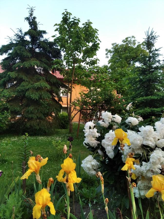 Apartament W Domu Na Wsi Tomaszów Lubelski 외부 사진