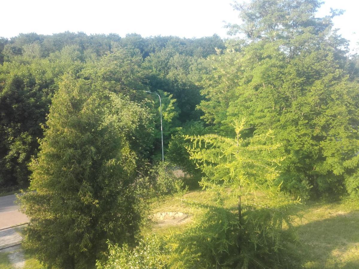 Apartament W Domu Na Wsi Tomaszów Lubelski 외부 사진